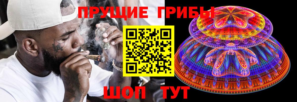 Галлюциногенные грибы MAGIC MUSHROOMS  Галлюциногенные грибы Psilocybine cubensis  Вход с VPN  Бердск 