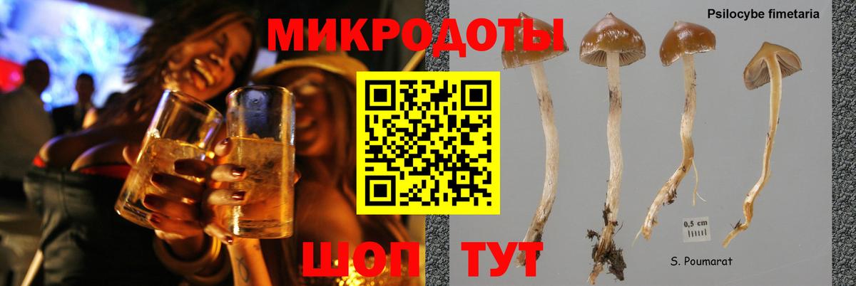 Галлюциногенные грибы мицелий Бердск